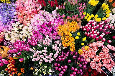 《毁灭战士：黑暗时代》新细节 比之前游戏更加开放